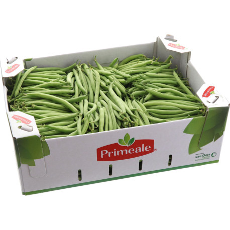 HARICOT VERT 5KG